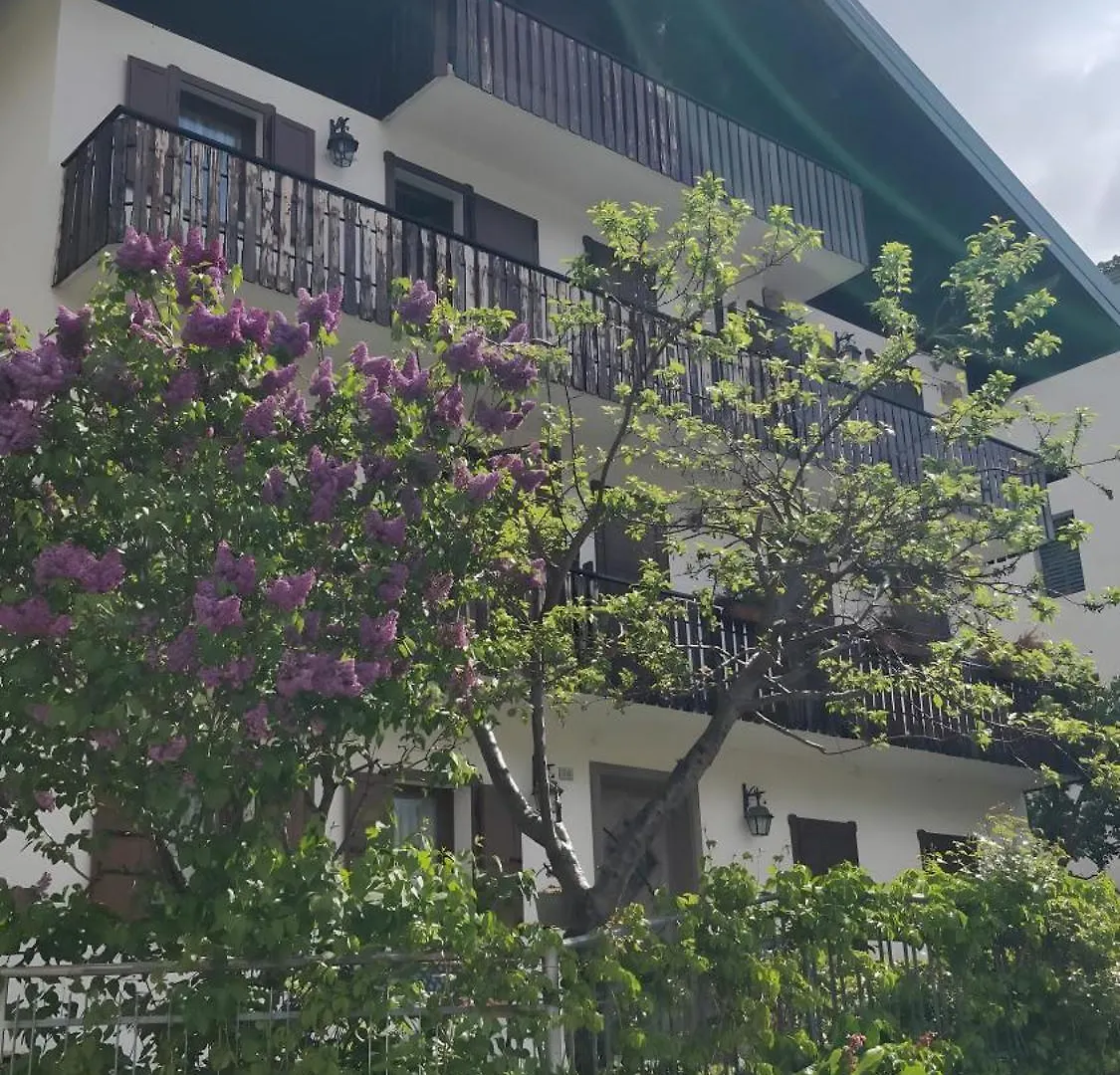 La Casa Dei Cervi A Vinigo Apartment Vodo Cadore